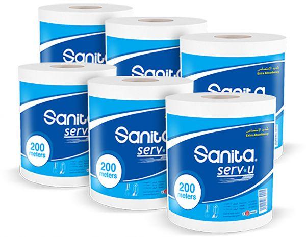 Sanita-Toilet Tissues - Big Roll